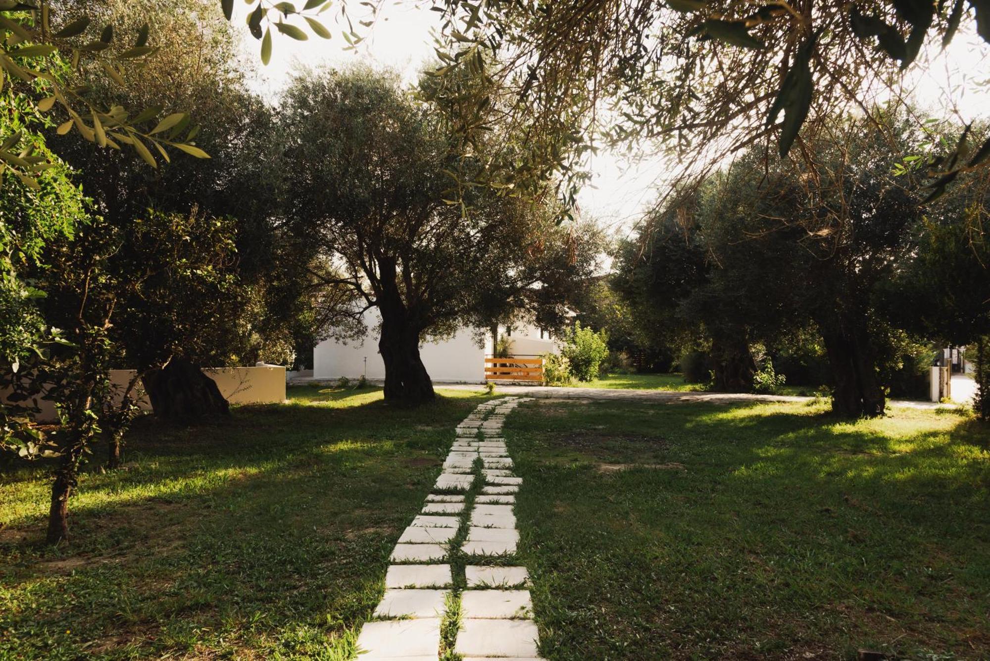 Olive Grove Suites Boutique Hotel Moraitika Exteriör bild