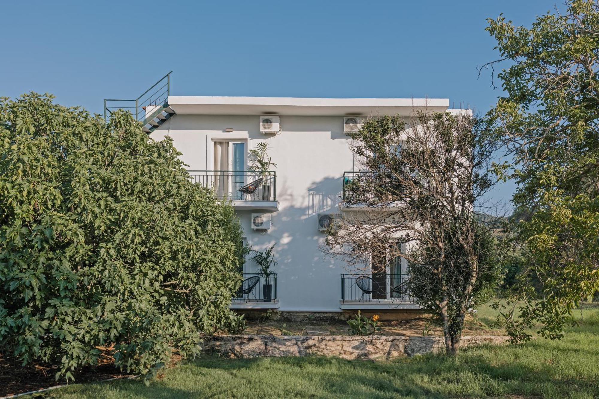 Olive Grove Suites Boutique Hotel Moraitika Exteriör bild